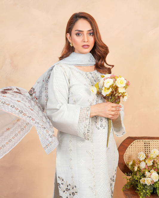 Noor-e-Nazuk - 3PC Stitched Suit