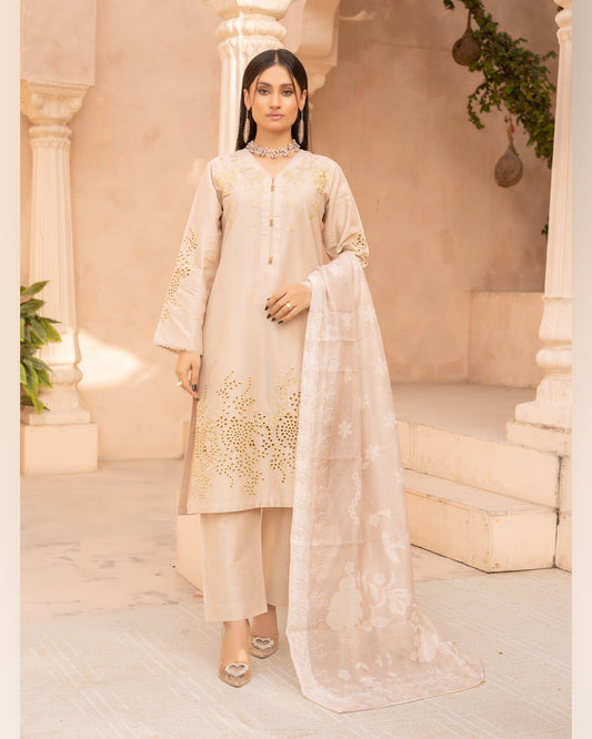 Champagne Glow – 3 Piece Stitched Embroidered Suit